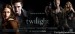 twilight-movie-wide (1).jpg
